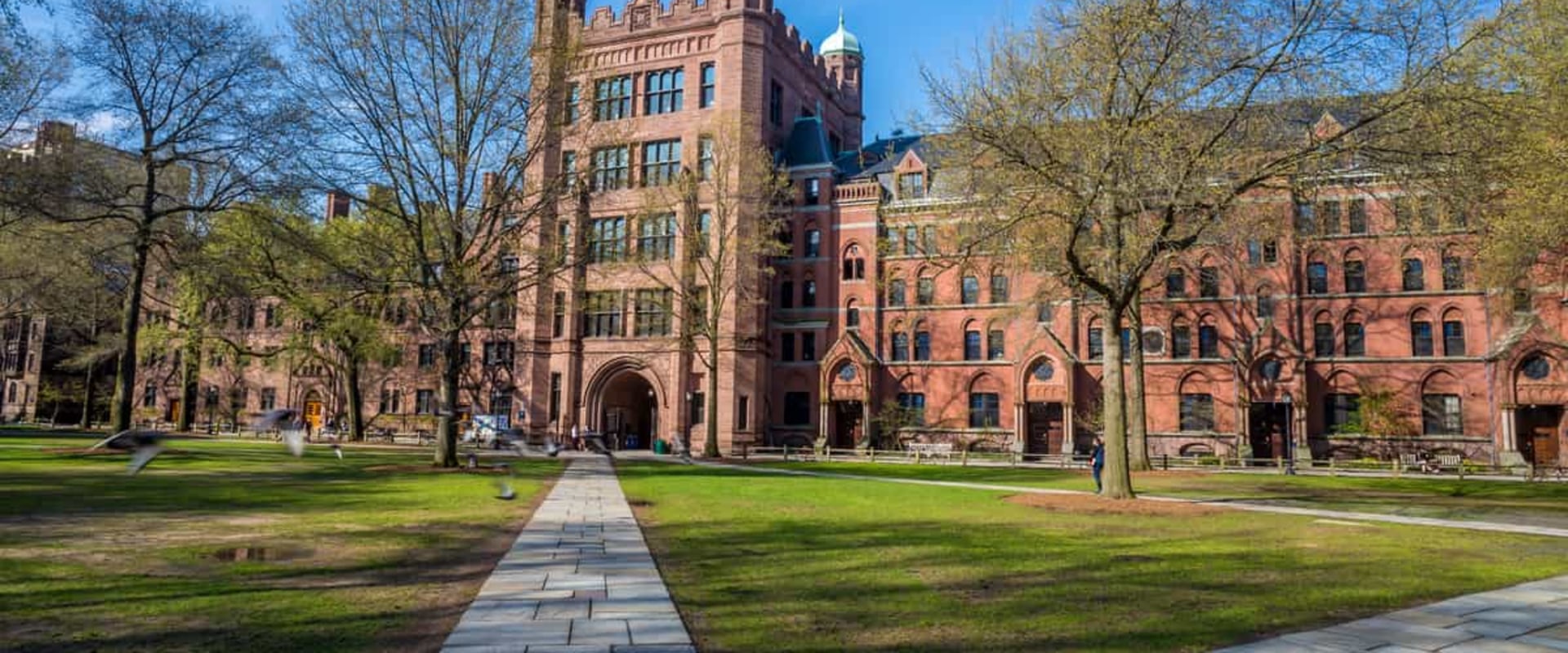 Average GPA and Test Scores for Admitted Students at UK Universities