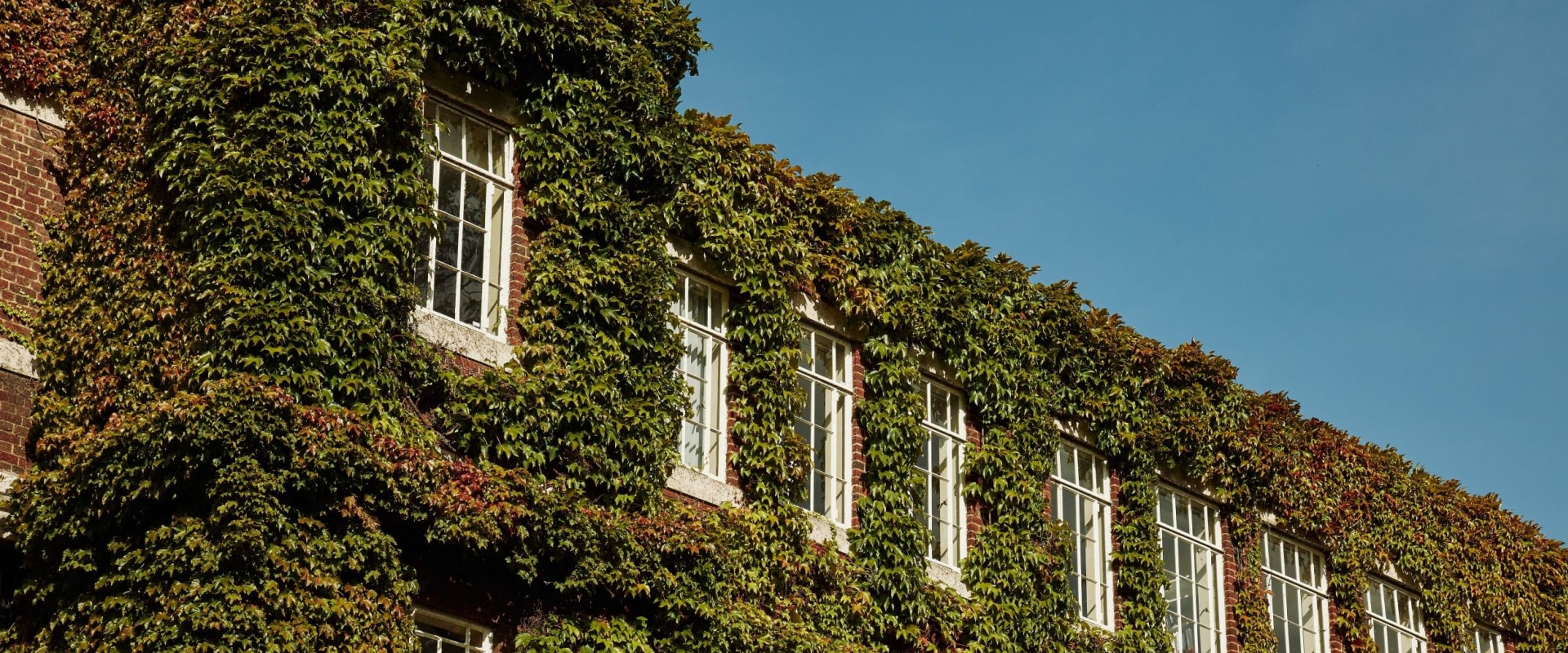 Payment Options for UK University Admissions